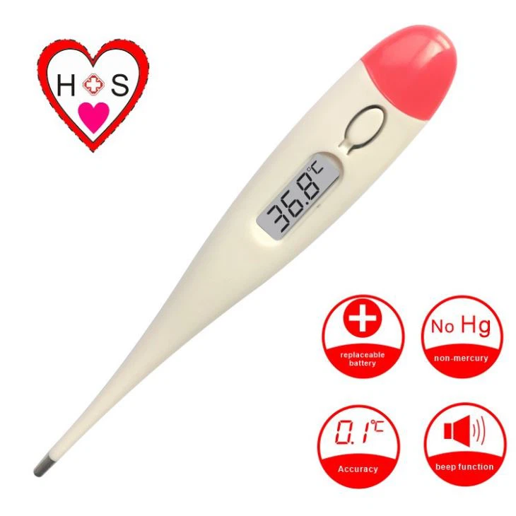 Large Size Thermometer