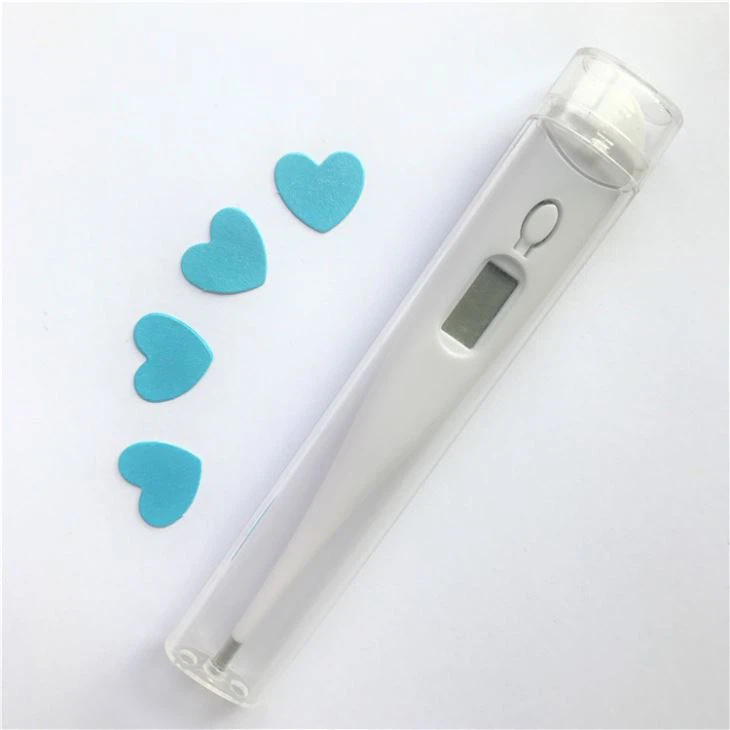 Large Size Thermometer