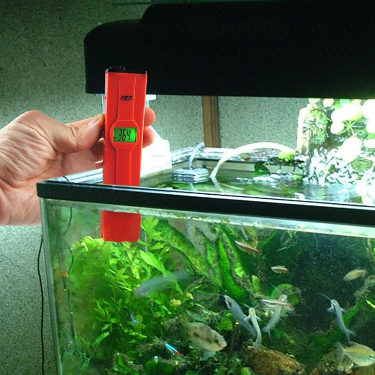 PH Meter Digital